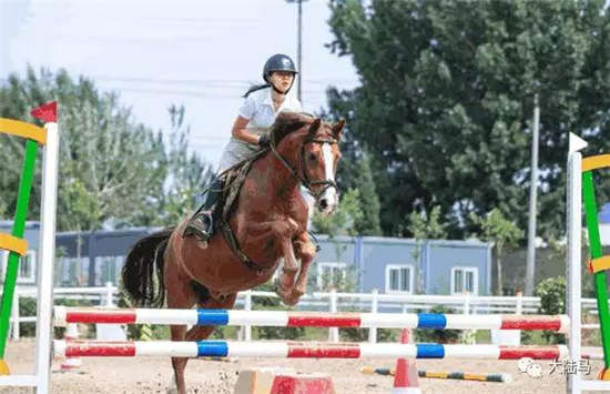 骑域PONY积分对抗赛&亲子嘉年华——带你玩转马场里的中国传统文化节