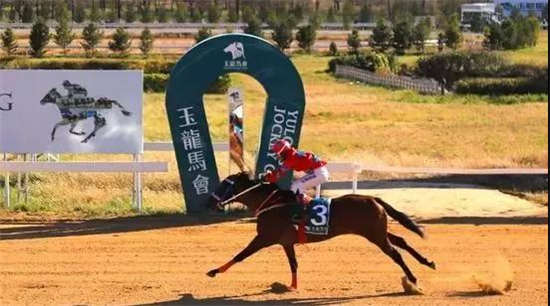 赛驹“好声音”59秒01打破玉龙1000米记录