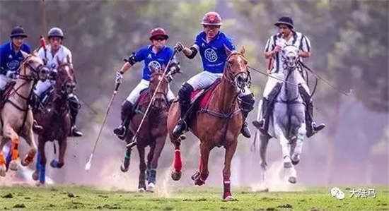 中国马球精英赛决赛倒计时开启