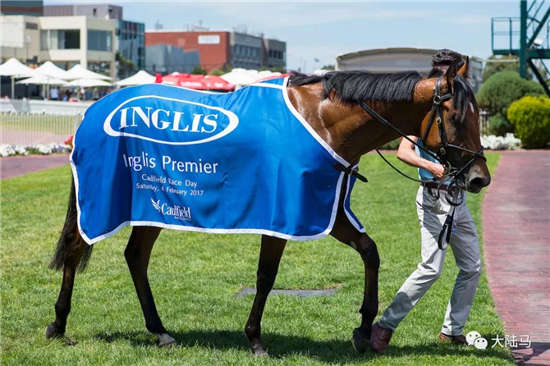 跟世界第一赛马“云丝仙子”繁育谱系相似

�，“犀利时”冠军子嗣�：Aquis雅士牧场再迎潜力种公马“点唱机”