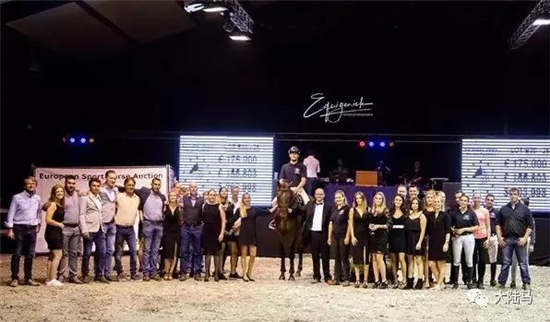 175000欧元！6岁公马拍卖价创荷兰欧洲运动马拍卖会历史新高