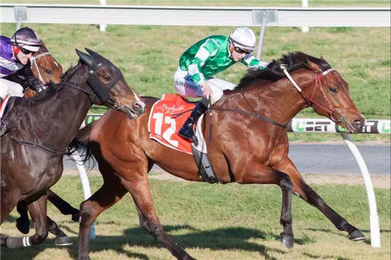 玉龙赛驹“玉龙圣锋”澳大利亚表列赛逆转夺冠