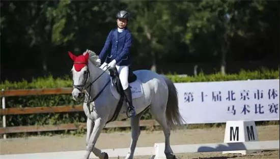北京市第十届体育大会马术比赛暨2018冠军杯马术巡回赛及盛装舞步巡回赛圆满完赛