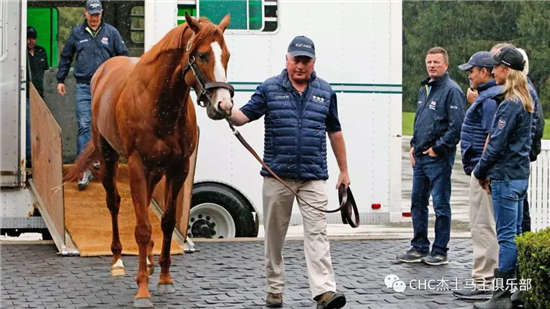 单次15万美元！CHC三冠王赛驹“正义”配种费正式公布