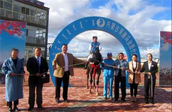 “大谦雄捷”携“大谦雄鹰”为大谦世界明星马主团体夺双冠