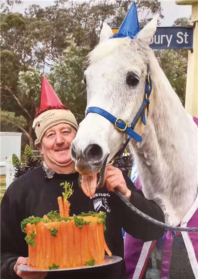 马主为30岁高龄的墨本尔杯冠军赛驹SUBZERO庆生