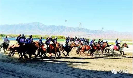 酒泉肃北县举办第二届“丝绸之路那达慕”文化旅游节赛马会