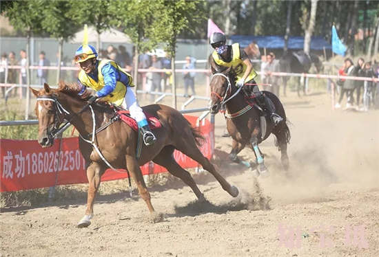 天津周良街道成功举办2018金秋御马营速度马大赛