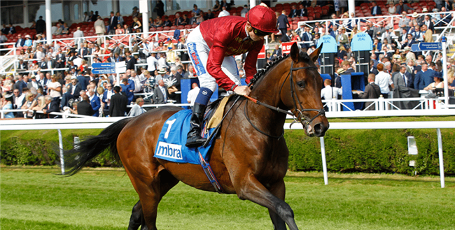 Aquis Farm雅士牧场收购“范高尔”四岁子嗣“八度音阶”冲击墨尔本杯.png