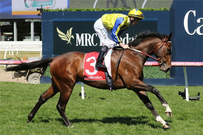 “超天然”有望为Aquis Farm雅士牧场种公马“末日审判”斩获锦标赛冠军.jpg