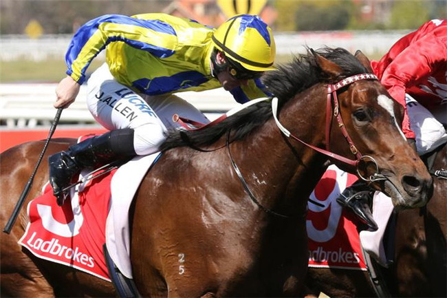 “超天然”有望为Aquis Farm雅士牧场种公马“末日审判”斩获锦标赛冠军大陆赛马网.jpg