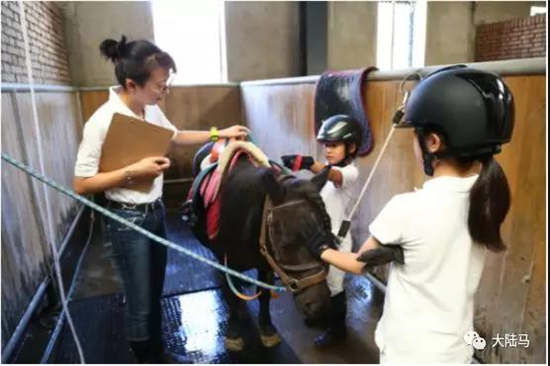 马术“月考”——JPRTPRT考试再次启动