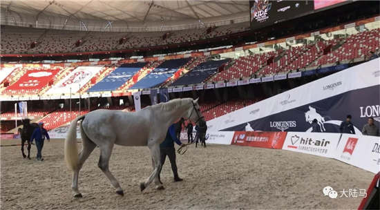 hit-air助力四星级鸟巢大师赛,期待明年更加精彩大陆赛马网2.webp.jpg