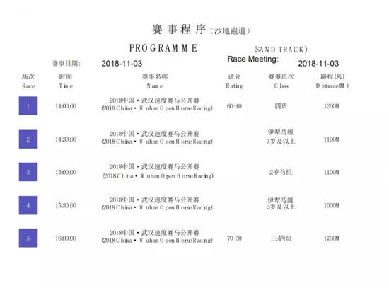 2018中国武汉速度赛马公开赛迎来本赛季第12个比赛日