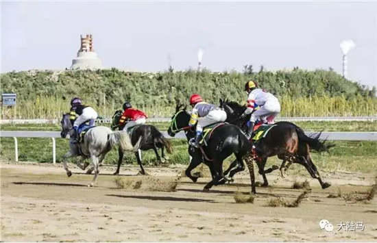 2018库尔勒赛马大会火热开赛