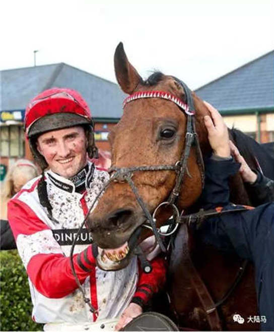 一只耳朵赛马“RYALEX”荣获佳绩