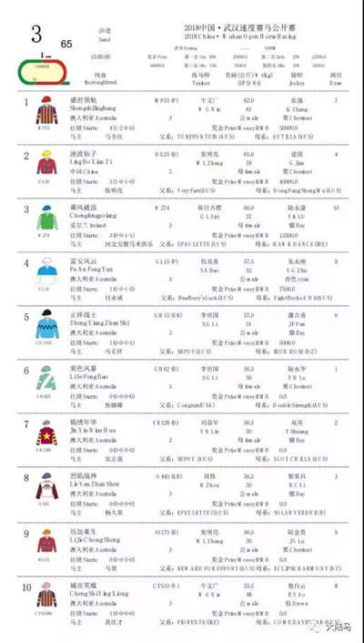全场唯一国产纯血马“凌波仙子”力压一众进口马武汉全程领放夺冠排位表-大陆赛马网.jpg