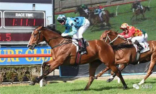Aquis Farm雅士牧场赛马“怀疑不顾”20万澳币表列赛“拍卖会杯”夺冠-大陆赛马网.jpg