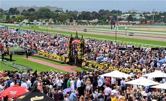 澳洲总理国会发言:赛马对澳大利亚的文化来说至关重要大陆赛马网3.jpg