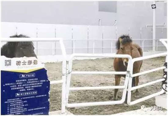 成都“旋转真马”停运半个月后又运营