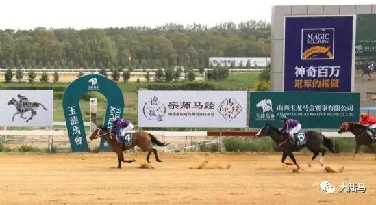 天赐圣泉王军宁赛驹“小家碧玉”“鹰击长空”玉龙赛场包揽冠亚军
