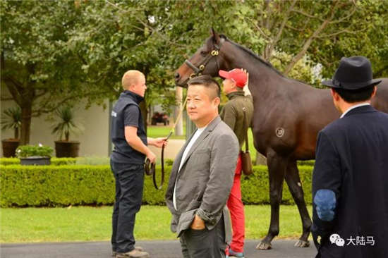 2018中国十大最受关注的速度赛马马主:逆境坚守追梦,绽放独特光芒12-大陆赛马网.jpg