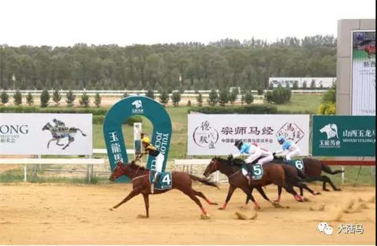 “自由战士”逆转夺冠！玉龙赛场捧获10万赛事总奖金“新西兰杯”