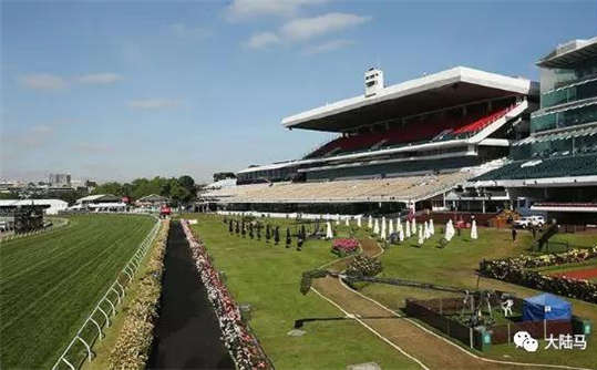 总奖金2400万人民币澳洲全明星一哩赛吸引130匹赛驹报名-大陆赛马网.jpg