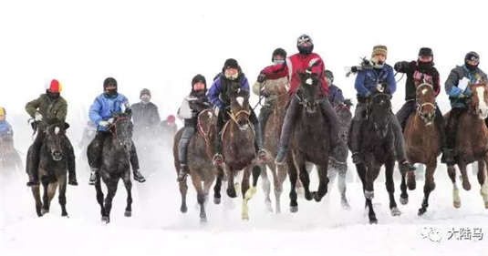新疆昭苏县天马文化旅游园举行民间冬季雪地赛马