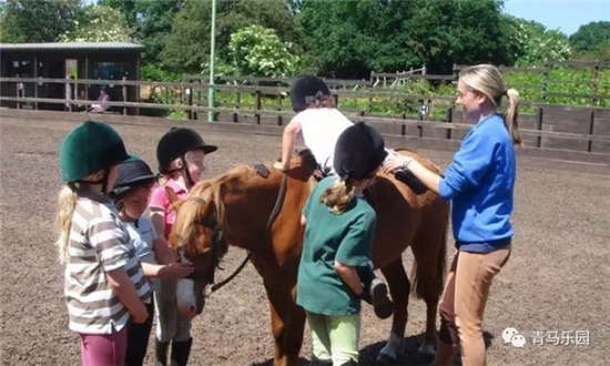 马术课堂丨3岁?6岁?9岁?孩子几岁学习骑马最合适?-3大陆赛马网.jpg