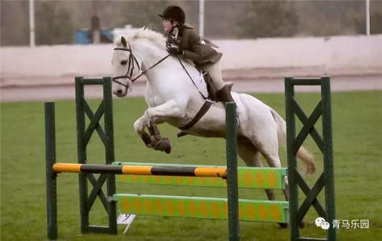 燕龙马业马术课堂丨跳障碍时如何才能做到干净利落?一个小方法就能搞定!-1大陆赛马网.jpg