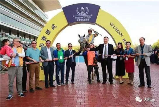 2018中国最有价值的十匹纯血马：“大谦雄风”为明星马主夺5冠