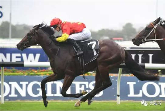 CHC赛驹“迈凯伦”与“街道城堡”联袂出战澳洲30万澳币赛事