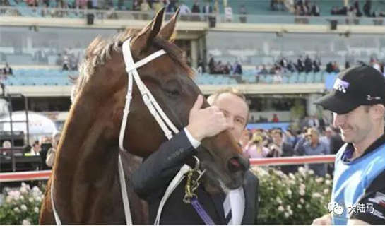 世界最佳赛马“云丝仙子”或将迎来退役战-大陆赛马网.jpg