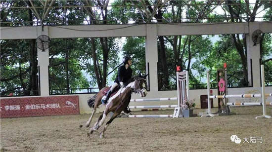 超200对人马组合！2019广东省马术联赛第一站在金伯乐马术学府圆满落幕