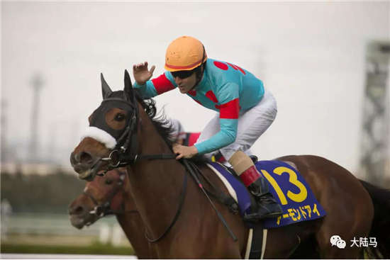 日本雌马三冠王“杏目”迈丹赛马场备战迪拜世界杯草地赛-大陆赛马网.jpg