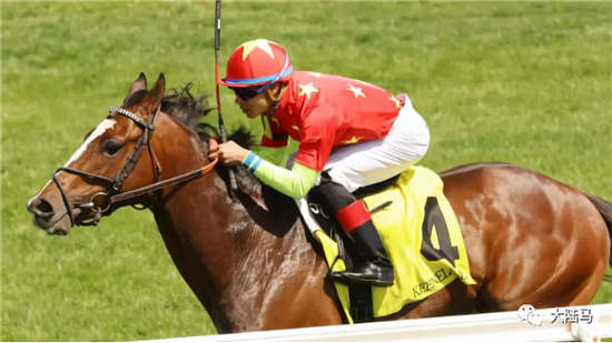 CHC赛驹“优仕达”和“聆听”将一同出战1200万美元奖金迪拜世界杯-大陆赛马网.jpg