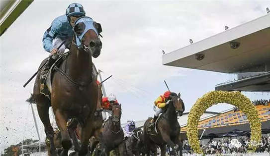 雅士牧场、日发牧马堂等联合马主赛驹澳大利亚夺冠-大陆赛马网.jpg