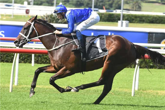 冲击33连胜!澳洲传奇马后“云丝仙子”迎来退役战-大陆赛马网.jpg
