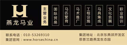 燕龙马业爱马马术课堂丨你知道马有205块骨骼和700块肌肉么?-4大陆赛马网.jpg