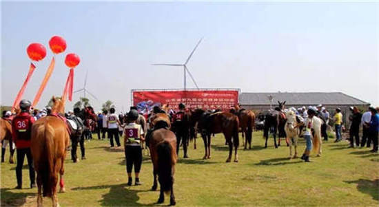 中国临沂第四届马术文化节在郯城县举行-大陆赛马网.jpg