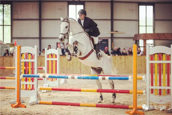 报名开启!2019“东马国际”马术场地障碍巡回赛暨未来之星吉林金马站8月10日长春开赛-2大陆赛马网.jpg