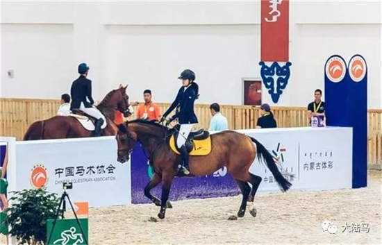 体彩公益金支持全国马术场地障碍青少年锦标赛-大陆赛马网.jpg