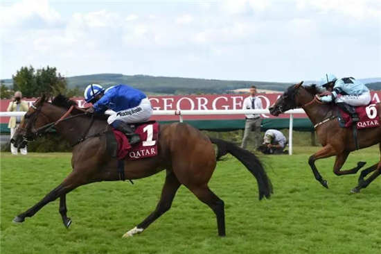 Aquis Farm雅士牧场澳洲7冠赛驹“侯胜”转战英国憾获亚军-大陆赛马网.jpg