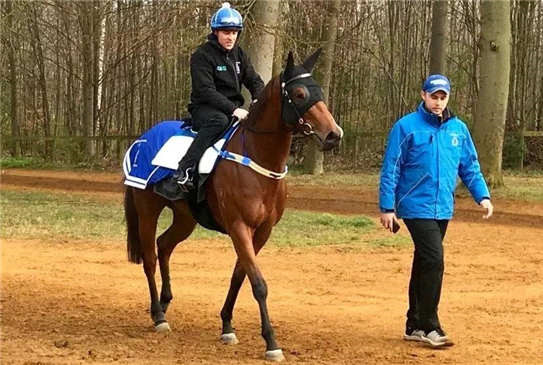 Aquis Farm雅士牧场澳洲7冠赛驹“侯胜”转战英国憾获亚军-1大陆四澳马网.jpg