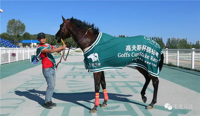 李勇赛驹2019玉龙爱尔兰主题赛马日连下两城成最大赢家