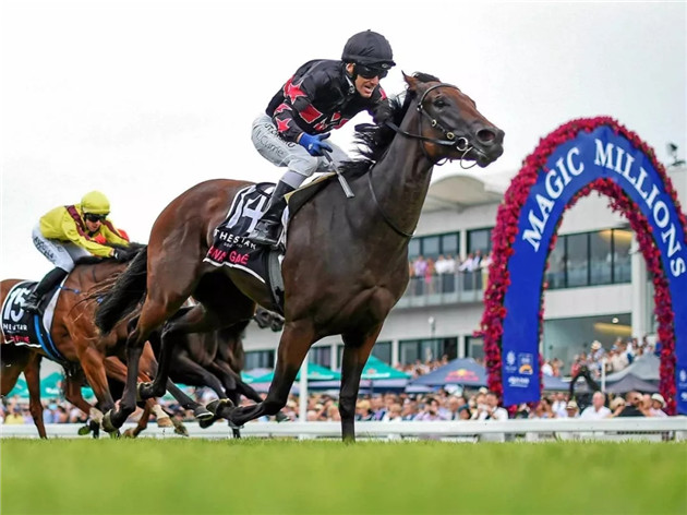 细数2020年前三个月,Aquis Farm雅士牧场两岁赛马如何席卷澳大利亚赛场! 大陆赛马网 (1).jpg