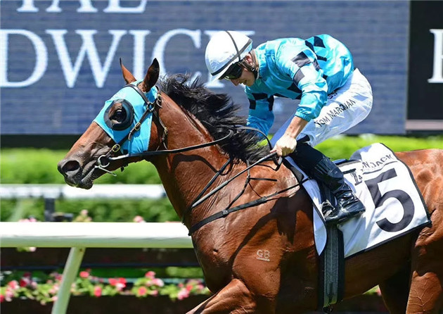 细数2020年前三个月,Aquis Farm雅士牧场两岁赛马如何席卷澳大利亚赛场! 大陆赛马网 (2).jpg