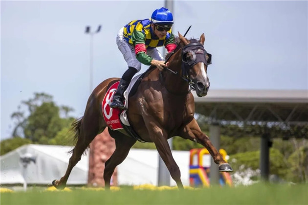 细数2020年前三个月,Aquis Farm雅士牧场两岁赛马如何席卷澳大利亚赛场! 大陆赛马网 (3).jpg