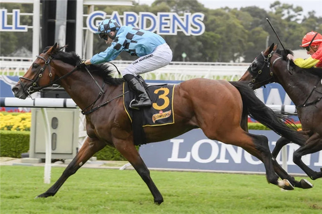 细数2020年前三个月,Aquis Farm雅士牧场两岁赛马如何席卷澳大利亚赛场! 大陆赛马网 (4).jpg